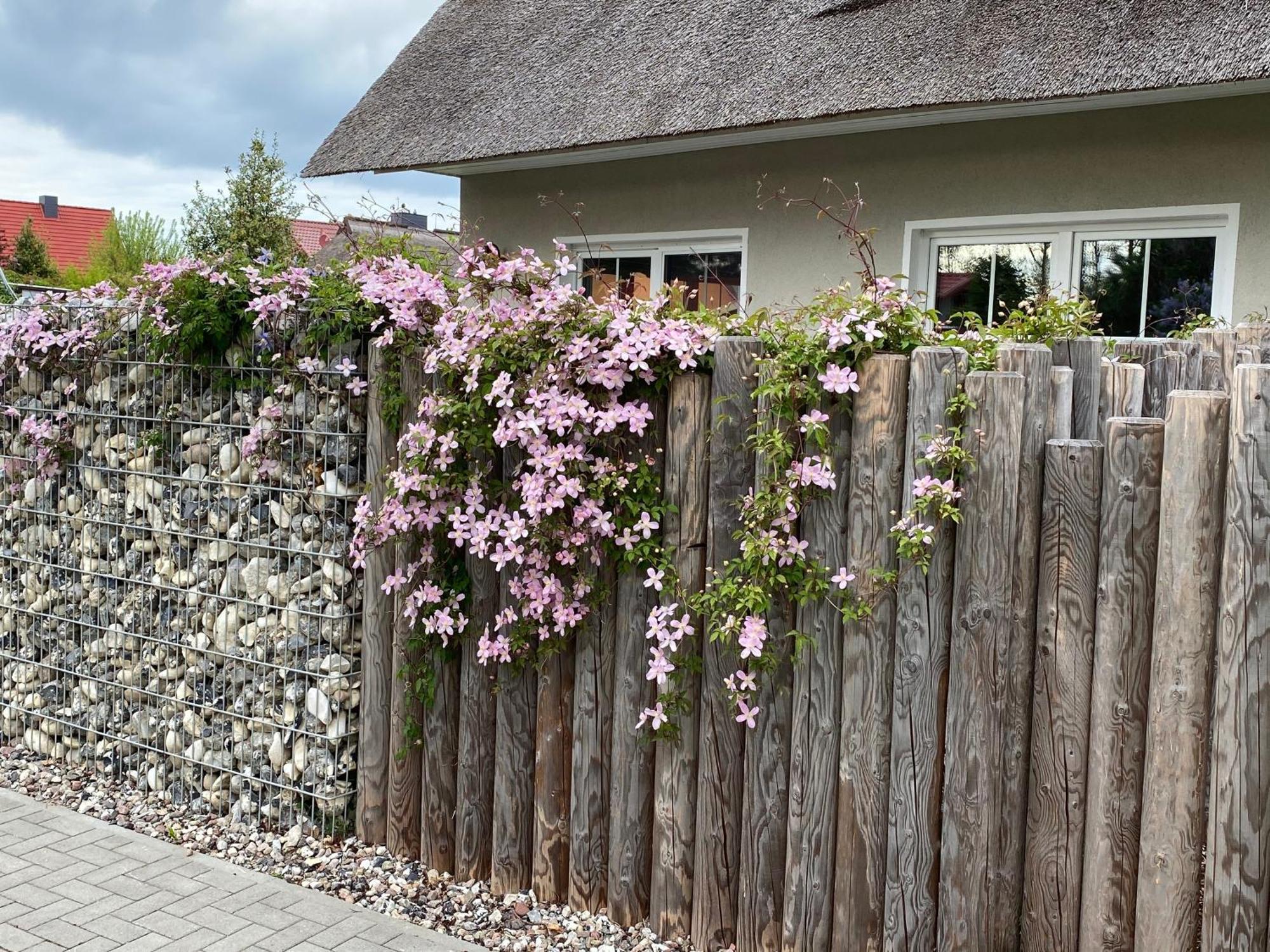 Kleine Seenixe Zingst Buitenkant foto
